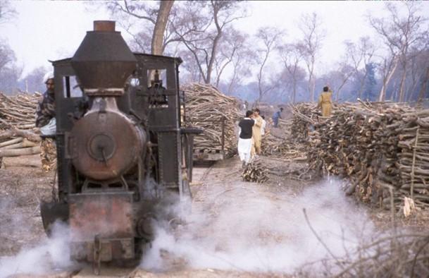 : A John Fowler locomotive waits as logs are loaded on to the train. Photo by Roland Ziegler, 1996)