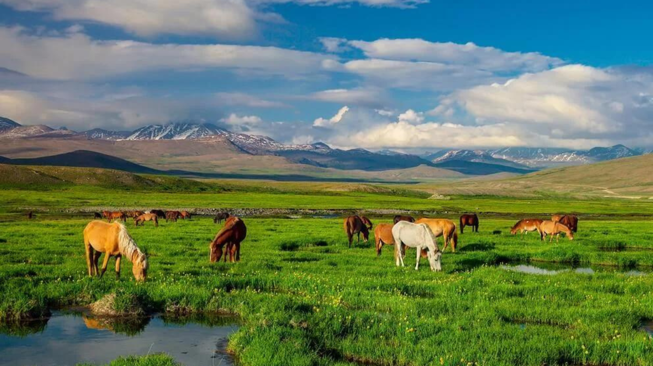 Deosai National Park