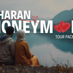 Sharan Honeymoon Tour Package