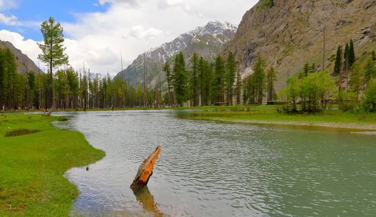 Alpine landscape of Mahodand Lake near Kalam Valley with pine forests and mountain backdrop