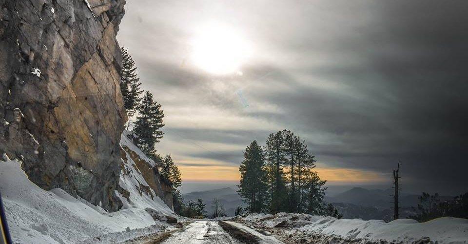 Pine and cedar forest landscape in Nathia Gali hill station