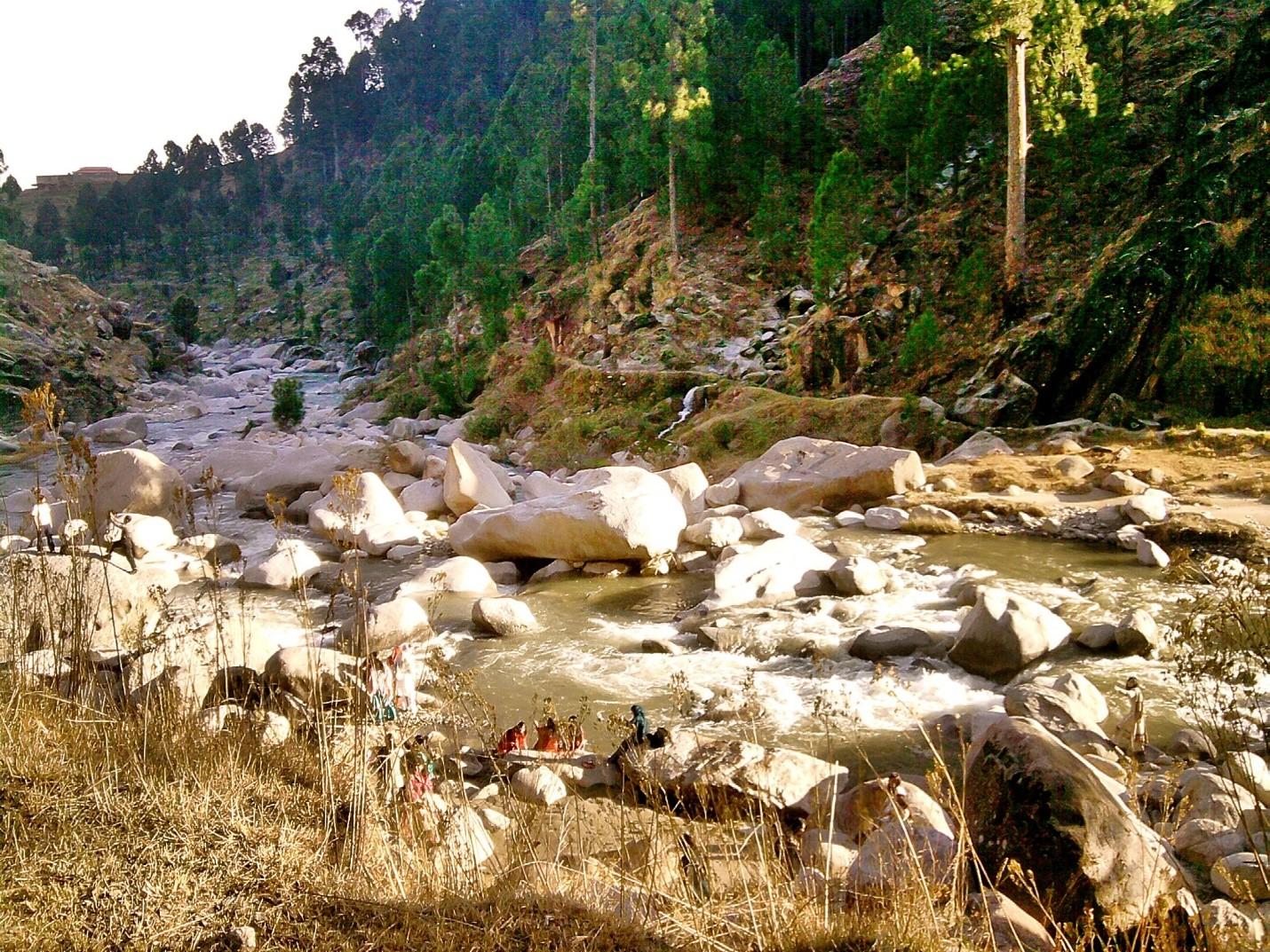 Pine forest trail near Thandiani Hill Station
